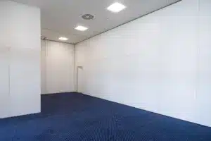 alma12